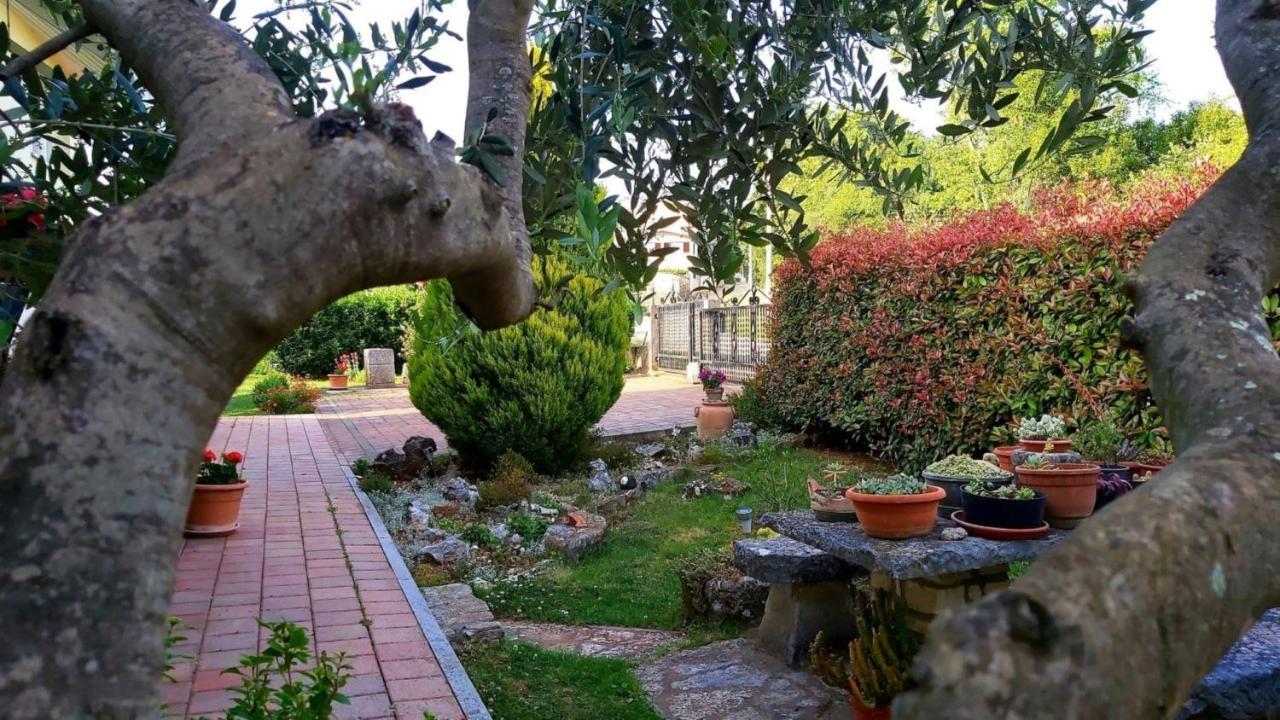 Apartment Green Oasis 1 Umag Buitenkant foto